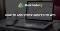 How to add Stock indices to MT5