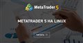 MetaTrader 5 на Linux