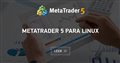 MetaTrader 5 para Linux