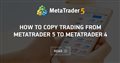 How to Copy Trading from MetaTrader 5 to MetaTrader 4