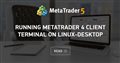 Running MetaTrader 4 Client Terminal on Linux-Desktop