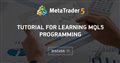 Tutorial for learning MQL5 programming