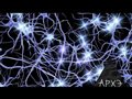 Вячеслав Дубынин: "Электрическая активность нейронов"