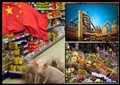China Inflation Slows To 7-Month Low; Producer Prices Fall At Faster Pace