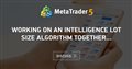 Working on an intelligence lot size algorithm together...