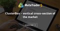 ClusterBox - vertical cross-section of the market