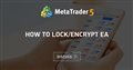 How to LOCK/Encrypt EA