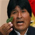 Боливийцы просят легализовать коку | Новости | Вокруг Света