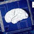 Мозг и чип: почему процессоры обгоняют — и проигрывают?