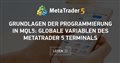 Grundlagen der Programmierung in MQL5: Globale Variablen des MetaTrader 5 Terminals