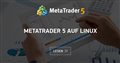 MetaTrader 5 auf Linux