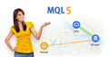 Rules of Using the Virtual Hosting Service Rules of Using the Virtual Hosting Service