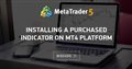 Installing a purchased indicator on MT4 platform