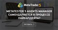 metatester 5 agents manager самоудаляется в процессе лайвапдейта?