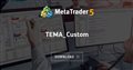 TEMA_Custom