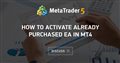 How to activate already purchased EA in MT4