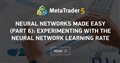 Neural networks made easy (Part 6): Experimenting with the neural network learning rate