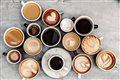 Регулярное употребление кофе уменьшает объем серого вещества в мозге - ЯСИА