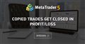 Copied Trades get closed in profit/loss