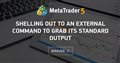 Shelling out to an external command to grab its standard output