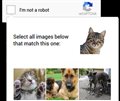 Человечная система noCAPTCHA от Google