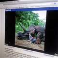 Спилберга в Facebook обвинили в убийстве вымершего динозавра