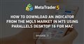 How to download an indicator from the MQL5 Market in MT5 using Parallels Desktop 16 for Mac