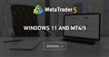 Windows 11 and MT4/5