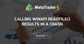 Calling WinAPI ReadFile() results in a crash