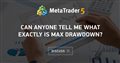 Can Anyone tell me what exactly is max drawdown?