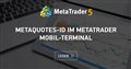 MetaQuotes-ID im MetaTrader Mobil-Terminal