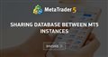 Sharing Database Between MT5 Instances