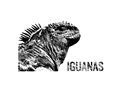 Generating a Rules-Based System using Iguanas