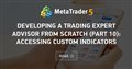 Developing a trading Expert Advisor from scratch (Part 10): Accessing custom indicators