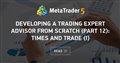 Developing a trading Expert Advisor from scratch (Part 12): Times and Trade (I)