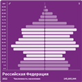 Пирамида населения Российская Федерация в 2022 году