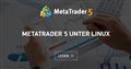 MetaTrader 5 unter Linux