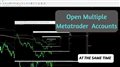 Running multiple accounts in Metatrader - Cloning your system