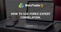 How to use forex expert correlation.