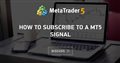 How to Subscribe to a MT5 Signal - How to subscribe to MT5 signals for real time signal subscription