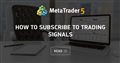 How to Subscribe to Trading Signals