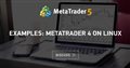 Examples: MetaTrader 4 on Linux