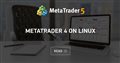 MetaTrader 4 on Linux