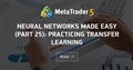 Neural networks made easy (Part 25): Practicing Transfer Learning
