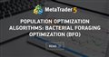 Population optimization algorithms: Bacterial Foraging Optimization (BFO)