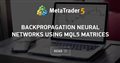 Backpropagation Neural Networks using MQL5 Matrices