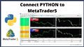 Connect Python to MetaTrader5