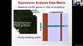 Gene Expression Prediction - Lecture 09 - Deep Learning in Life Sciences (Spring 2021)