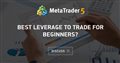 Best Leverage to trade for beginners? - Forex Leveraging: The Basics of Forex Leverage