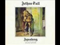 Jethro Tull - Aqualung [40th Anniversary Special Edition] Album (2011)